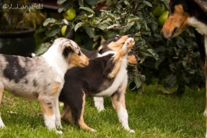 ec3f9cbfbac4358b75c57dce489ec790 