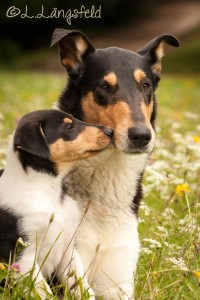 eca2602b62f0705307811ecdd0d7c941 