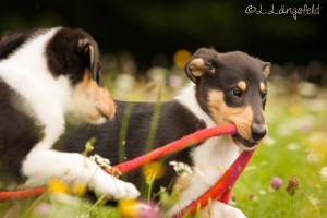 ee86840bff702c7f311b8b1b324d408f 