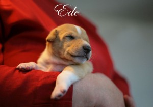 d8b0c354edddf000fd9450b7414048e1