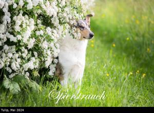 kalender5 2025