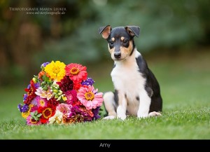 0_amy