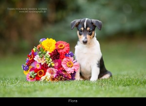 0_flora