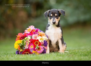 0_monty