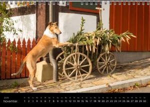Unbenannt.JPG_11              
