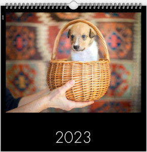 kalender0_900