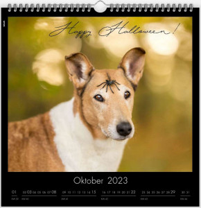 kalender10_900