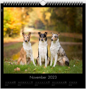 kalender11_900