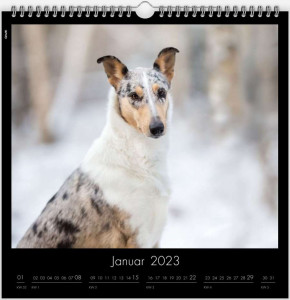 kalender1_900