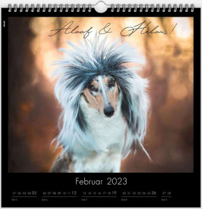 kalender2_900