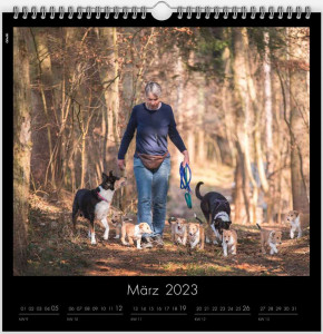 kalender3_900