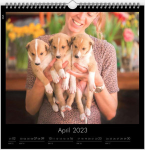 kalender4_900