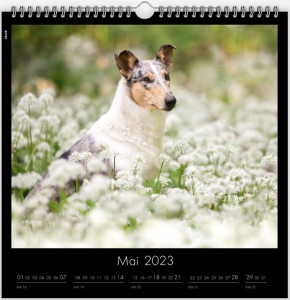 kalender5_900