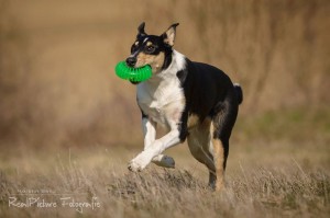 08ebca3786af4372138cf76c09b4e249