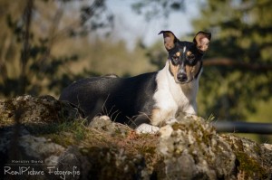 0dba60dc3a2ef4377207d5764afbf9ac