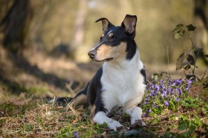 232c342ae7bfa8f4086811779ce6e0ad