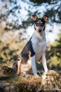 28faca24abe268d59118c146fe956a83