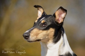 3c749430c1f434ab8a005a69320ef934