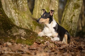 3f1ba8e1dec4f6f965413f0727e451cf