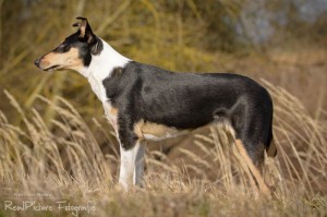 482a3ddeb226953b90be3a25e305d428