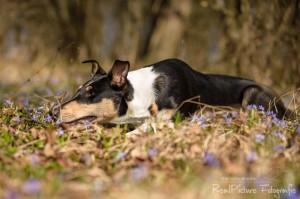 5571a0461c3188b5a388ca414ff202d2