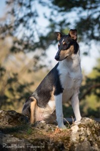 575ec8a3af6976e8069ad4e495ea072d