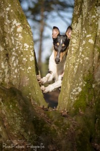 61e0c8b95ead753cdee2b729bdae4323