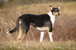 7ae80bd2db98f56a2d1ebd5878983d34