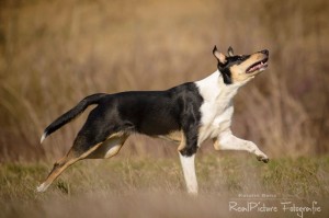 81107b9decea16c22b0ab12ed3de7fed