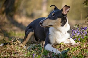 898f33c58f2b3c9e6d66207f07554661