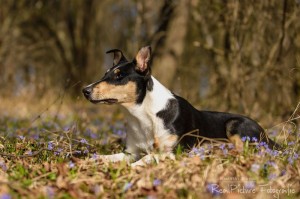 955fe122497ca16607ec7d1a4603befc