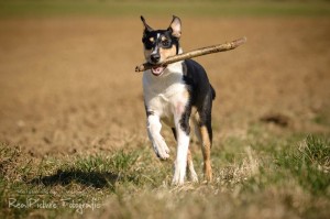 a23208fa6ac50c805cad4e07e0e77f8c 