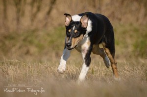 a868e1ab869e2430fdacff64e14eedbd