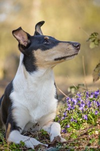 ac08e836e766d7f6855c198190cb318d 