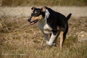 b12b754bdb6f6cdaa3195e218a8555f3 