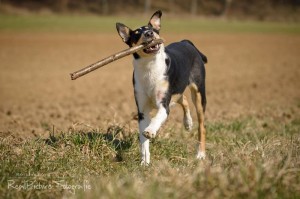 b1c1f4b907a68b972b02dfcbc78db199 