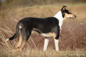 b738ee046a3dd45709ce46c10ea7e9ac 