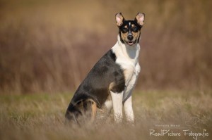 be7bd139ec437a7388ad22e9d555e30e 