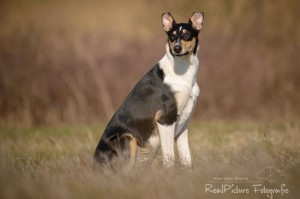 c5c2fc5275b8608faf6cd50d9ed0e973 