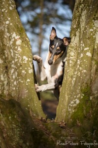 c6ebd1c3d08f7cf4503e10261e6c747e 