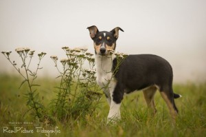 0fc34cd365bf877985b46b1d85133e87