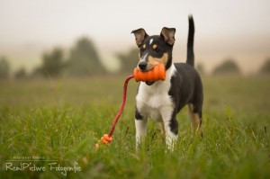 1153b02500235d75bb2186627250f5ce