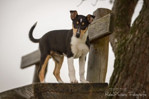 188342a1944487ca495f5309a43d8b01