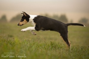 1930b40a68a98f50f4487aded0bbab78