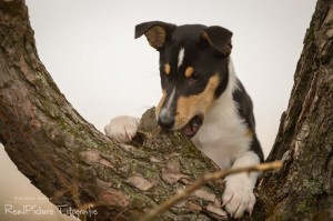 1ad8f0b28650fd7e6e8cd52b20b2dc3b