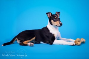 32b24196cc1cfb41c2f221364f170c78