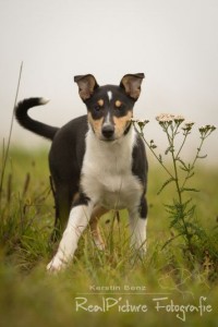 3cdd5d8d68a453c6d13d079122df4ef9