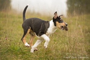 43f794f938fe515f8b9a88bfaec51bfc