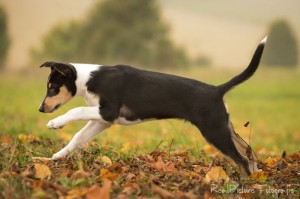 4dce62a6c7dab00ec22d8a7a80ecc822