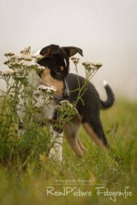 52b970b43a41f413d4e0c212114ee358